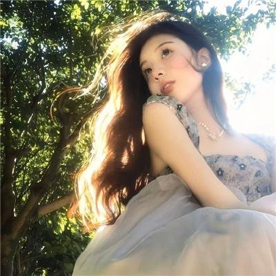 鸟儿们的奇幻冒险